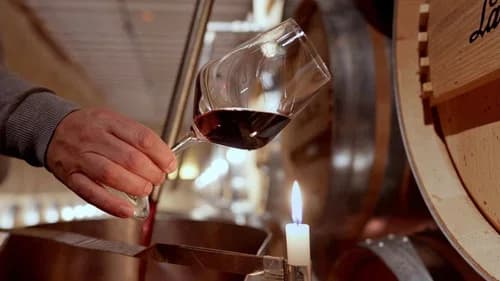 Rioja: The Land of a Thousand Wines